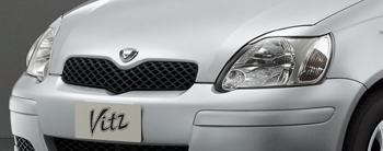 Headlight garnish