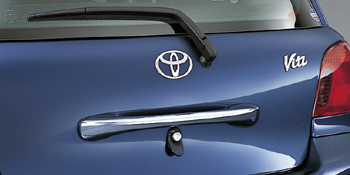 Back door grip