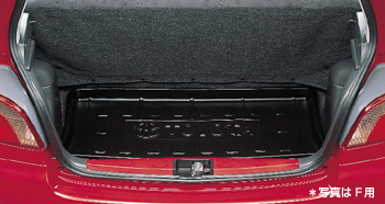 Luggage tray