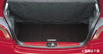 Trunk mat